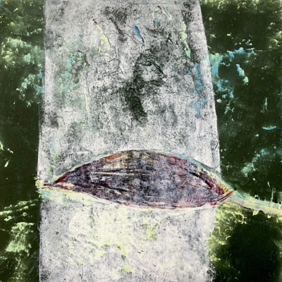 Ghost Birch Wound Mixed Media on Cradled Wood Panel 40cm sq